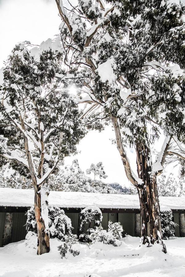 Ski Rider Hotel Perisher Valley Εξωτερικό φωτογραφία